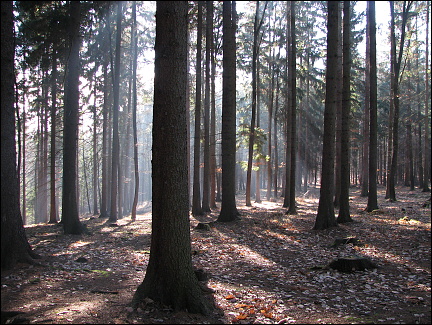 Hrusice a zříceniny hradů Odranec, St. Dubá a Zlenice