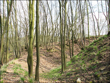 Kozí hřbet, Hrazany, Ostromeč