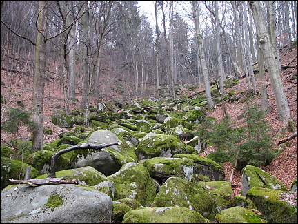 Hornopožárský les