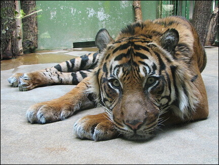 ZOO Troja