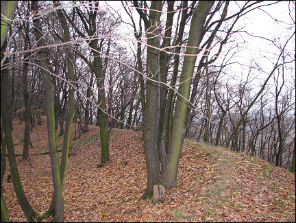 Oppidum Závist
