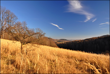 Vánoce a Silvestr 2015