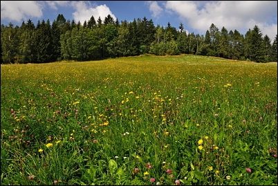 Dovolená 2016 – Vysočina, jižní Čechy a další