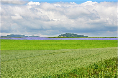 Dovolená valštejnská